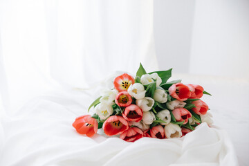 Red tulips in a white interior - 768992331