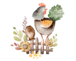Watercolor illustration of bird. Farm animals cartoon poultry. Chicken, rooster and eggs cartoon Easter collection. Agriculture symbol hand drawn. © Elena