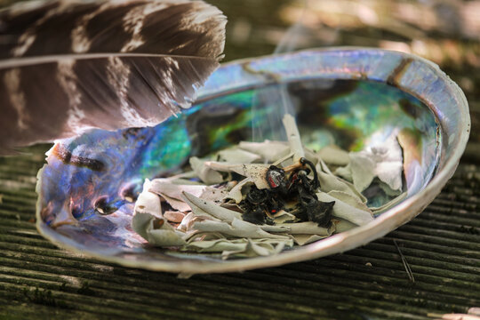 Smudging loose white sage leaves (Salvia apiana) in an abalone shell with incense feather outdoors in summer