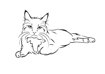 Outlined portrait of a lying cat