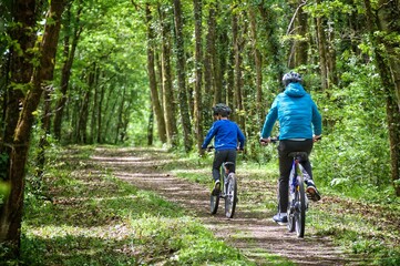 Naklejka premium Vélos
