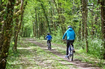 Obraz premium Vélos