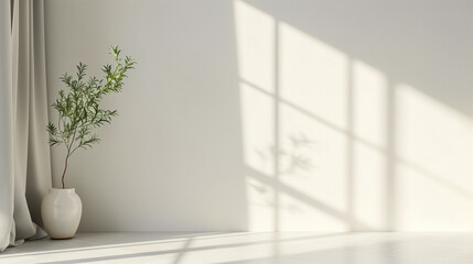clean white room background with curtains and plant
