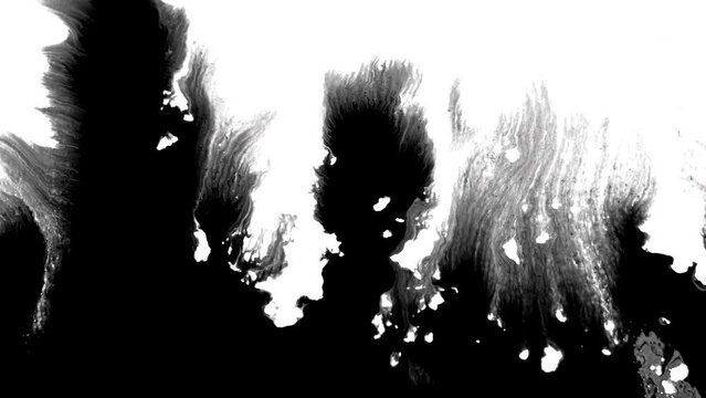 Black ink artistic flow splatter spots spills white paper beautiful reveal dripping streaks spread fluid ink alpha matte isolated watercolor ink drops transition	