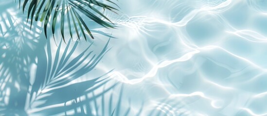 Fototapeta na wymiar Tropical Pool Water with Palm Shadows