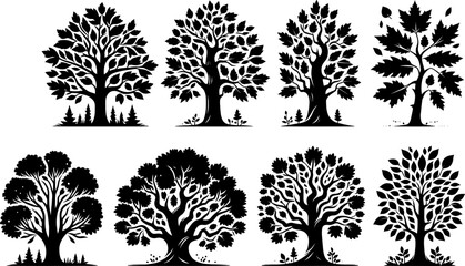 A collection of black and white vector illustrations featuring a variety of deciduous trees like oaks and maples each detailed beautifully