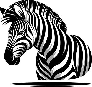 Vector illustration of a zebra highlighting its stripes and grace, in black and white
