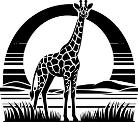 Vector illustration of a giraffe with a long neck and patterned coat in black and white - obrazy, fototapety, plakaty