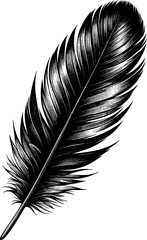 Black vector illustration of a feather, detailed to showcase its texture and form, suitable for nature themes.