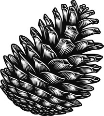 Black vector illustration on white background of a pinecone, detailed to evoke autumn and nature for seasonal themes.