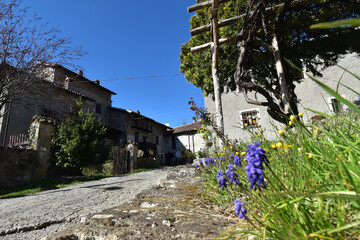 Roncoli: small characteristic village of a few houses on the hills of Val Borbera, Alessandria,...
