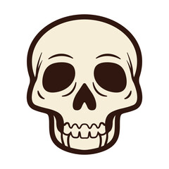 Vintage skull vector illustrations. Black and white human skull. Different skull tattoo vector illustrations. Anatomical Skulls Vector Set