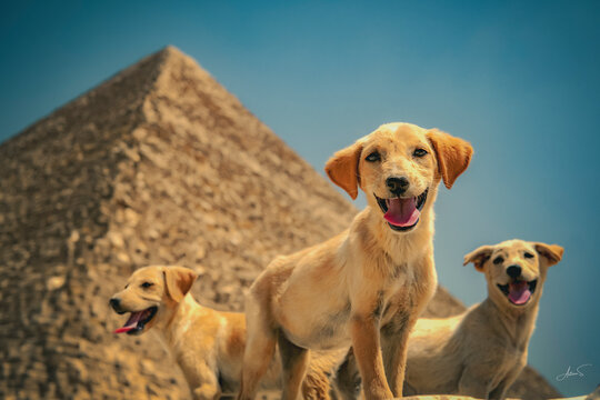 Pyramide