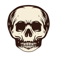 Vintage skull vector illustrations. Black and white human skull. Different skull tattoo vector illustrations. Anatomical Skulls Vector Set