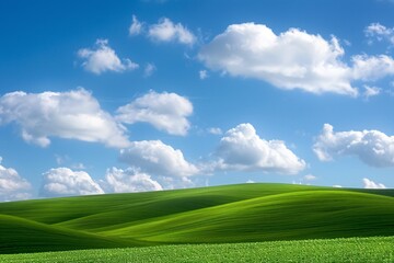 a green field with blue sky and clouds - obrazy, fototapety, plakaty