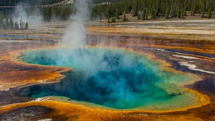 Foto op Plexiglas Yellowstone National Park © rouda100