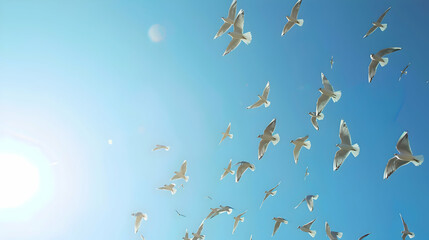Diurnal birds soaring high against a clear blue sky