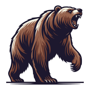 Roaring grizzly bear full body vector illustration, wild beast brown bear, animal predator zoology element illustration, design template isolated on white background