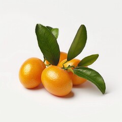 kumquat on a white background isolated.