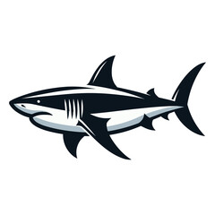 Wild great white shark vector illustration, marine predator animal element illustration, swimming angry toothy shark design template isolated on white background