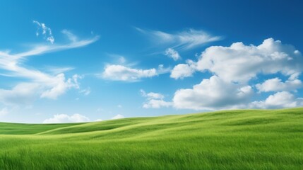 Fototapeta na wymiar Beautiful Landscape view of green grass on a slope with blue sky and clouds background.