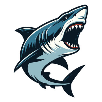 recommend clip art: Angry wild great white shark vector illustration, marine predator animal element illustration, swimming toothy shark design template isolated on white background