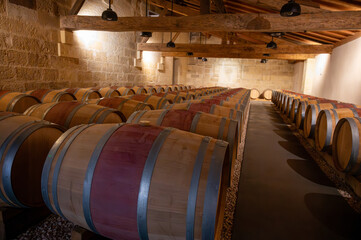 French oak wooden barrels for aging red wine in cellar, Saint-Emilion wine making region picking,...