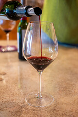 Tasting of red dry Saint-Emilion wine aged in French oak wooden barrels in cellar, Saint-Emilion...