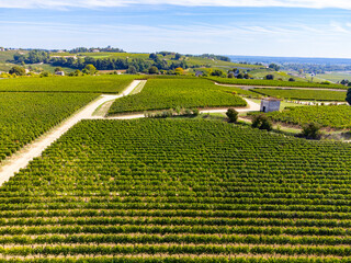 Aerial views of green vineyards around of medieval town St. Emilion, production of red Bordeaux...