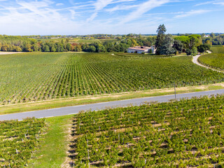 View on Pomerol village, production of red Bordeaux wine, Merlot or Cabernet Sauvignon red wine grapes on cru class vineyards in Pomerol, Saint-Emilion wine making region, France, Bordeaux