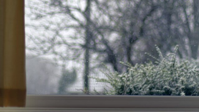 Woman opens curtain to snow falling trees on winter day view through window 
