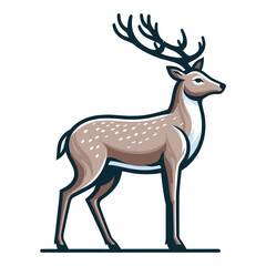 Deer full body vector illustration, wild mammal animal concept, standing reindeer with antlers illustration. Design template isolated on white background