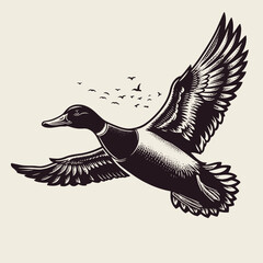 Wild duck in flight in the sky. Beautiful vintage engraving vector illustration, icon, logo	