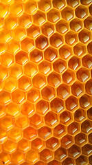 Detailed Honeycomb Texture Background with honey.  Food, culinary, nature themes and Beekeeping
