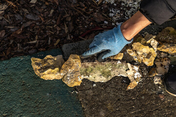 Planting coniferous shrubs, building a rockery in the garden, tidying up the garden in spring