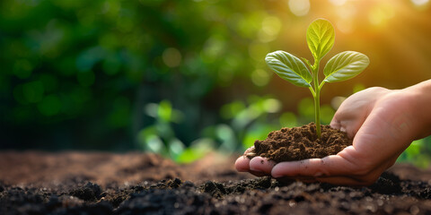 Human hand holding green plant with soil on nature background, Ecology concept - obrazy, fototapety, plakaty