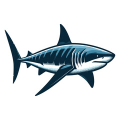 Fototapeta premium Wild great white shark design illustration, marine predator animal element illustration, swimming angry toothy shark vector template isolated on white background