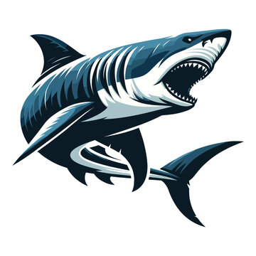 Angry wild great white shark vector illustration, marine predator animal element illustration, swimming toothy shark design template isolated on white background