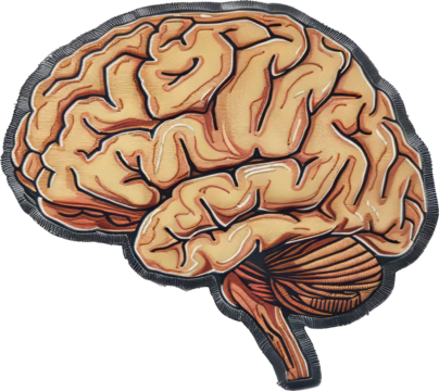 Embroidered human brain patch with intricate details, cut out transparent