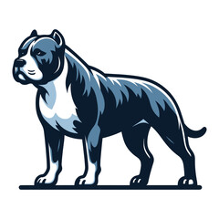 Fototapeta premium Pitbull bulldog full body vector illustration, Full-length portrait of a standing animal pet pitbull terrier dog. Design template isolated on white background