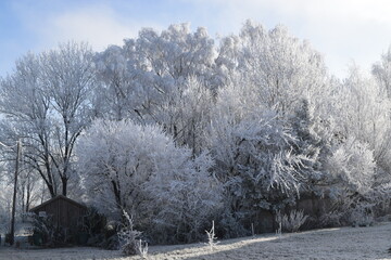 Raureif am Wintermorgen