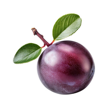 Beach Plum isolated on transparent png background. Generative ai