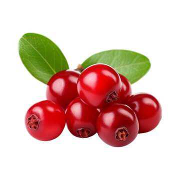 Lingonberry isolated on transparent png background. Generative ai