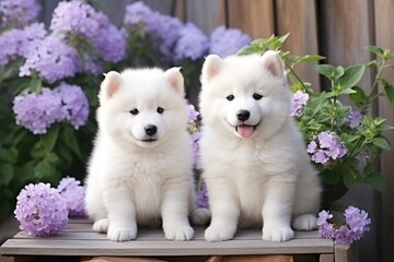 Two pretty puppies posing outdoors in the spring garden with flowers