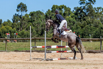Equestrian Competition 10