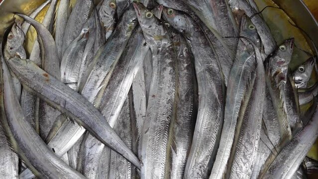 Asian Lepturacanthus savala or Savalai hairtail displayed for sale in the market.