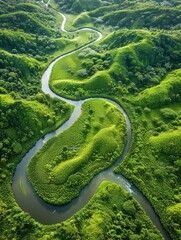 The peaceful green river winds elegantly through undulating hills, creating a harmonious natural pattern as viewed from the skies..