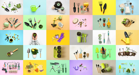 Group of gardening supplies and plants on color background