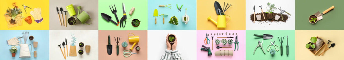 Collage of gardening supplies and plants on color background