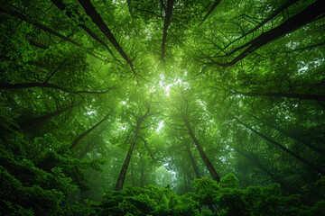 The lush emerald green of a forest canopy, teeming with life and vitality, enveloping visitors in a cocoon of natural splendor. Concept of verdant landscapes. Generative Ai.